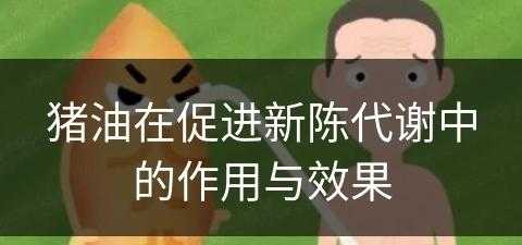 猪油在促进新陈代谢中的作用与效果